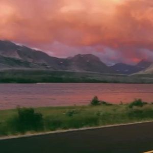 Meet your Posher, Anali